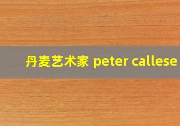 丹麦艺术家 peter callese